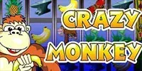 ігровий автомат crazy-monkey безплатно